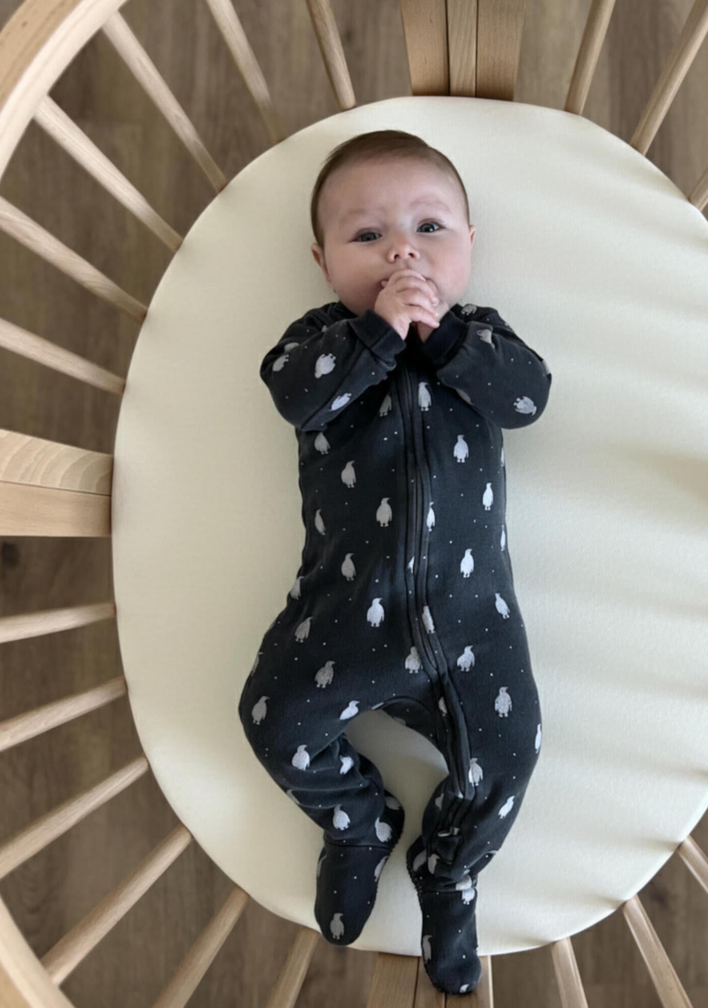 Coal Penguin - Organic Cozy Zipper Footie