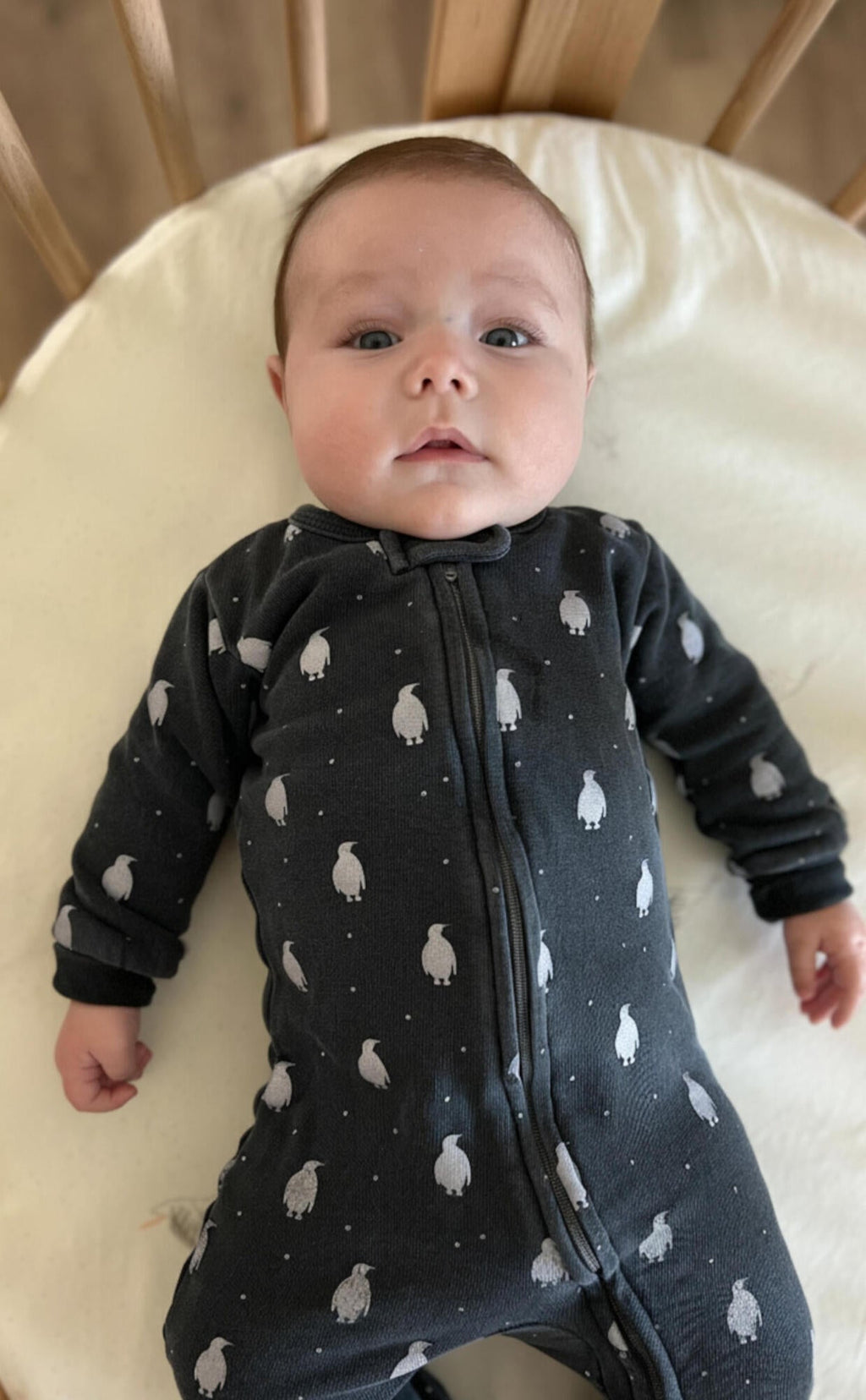 Coal Penguin - Organic Cozy Zipper Footie
