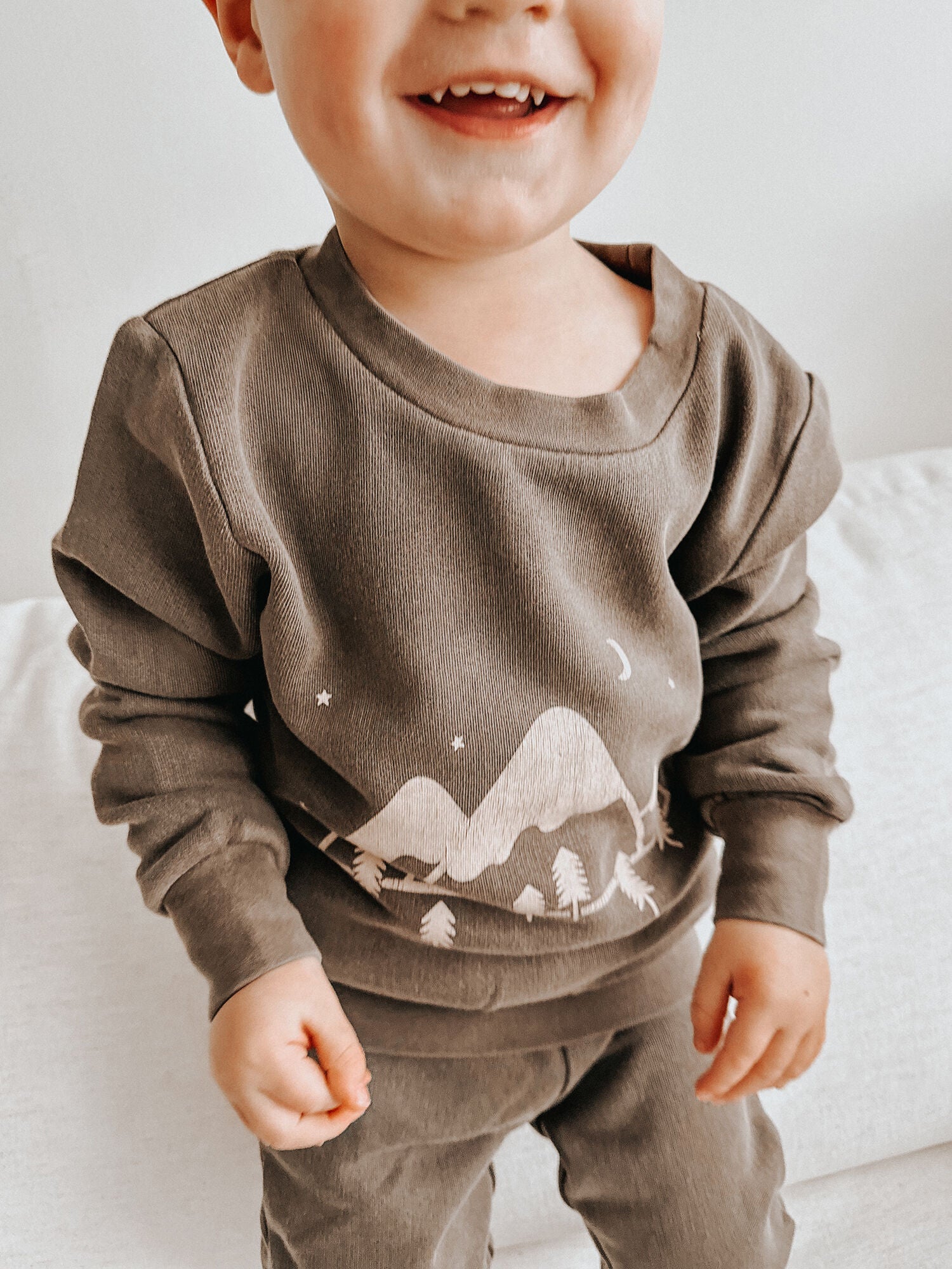Bark Mountains - Organic Cozy Graphic Sweatshirt & Jogger Set