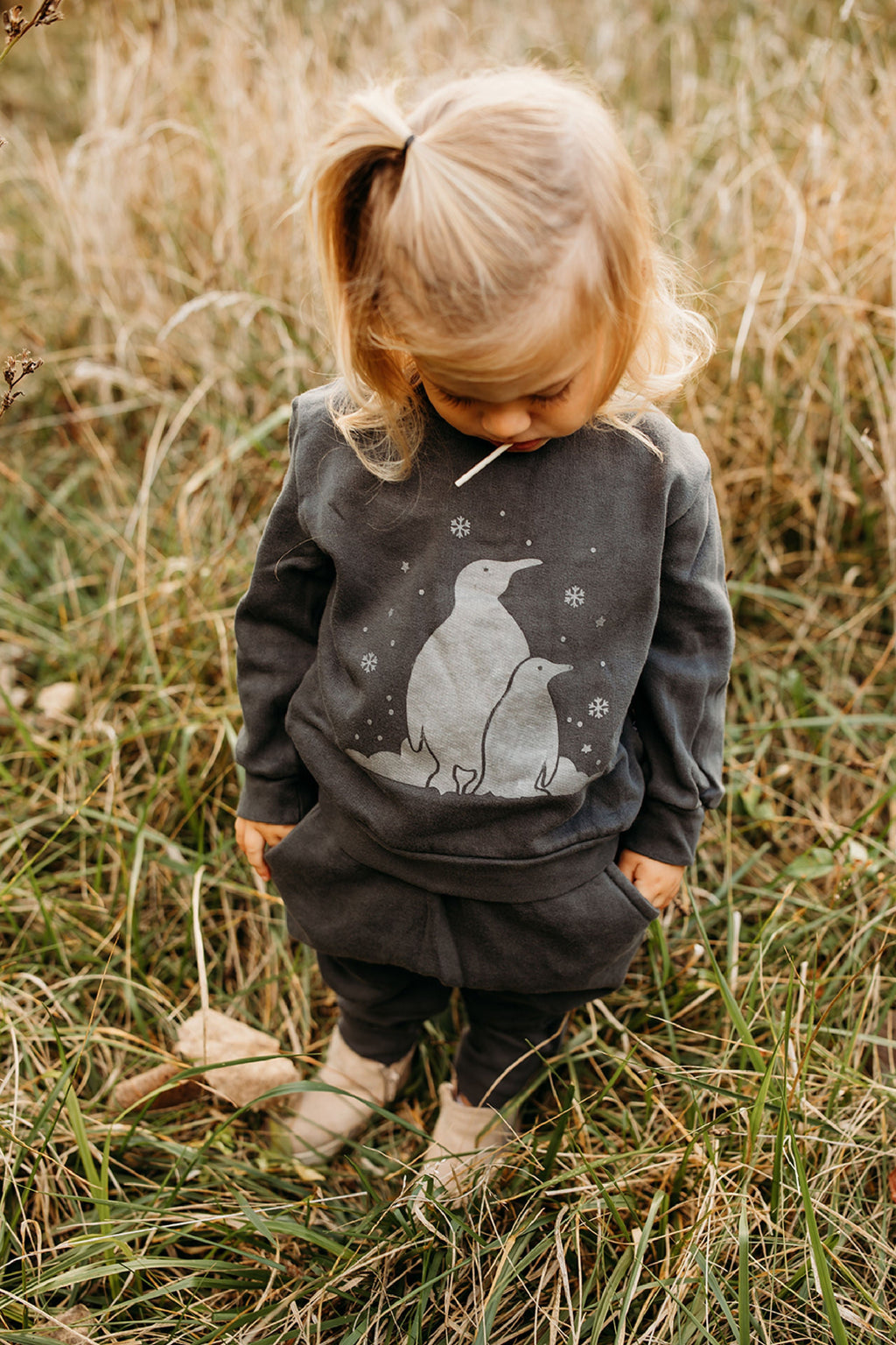 Coal Penguin - Organic Cozy Graphic Sweatshirt & Jogger Set