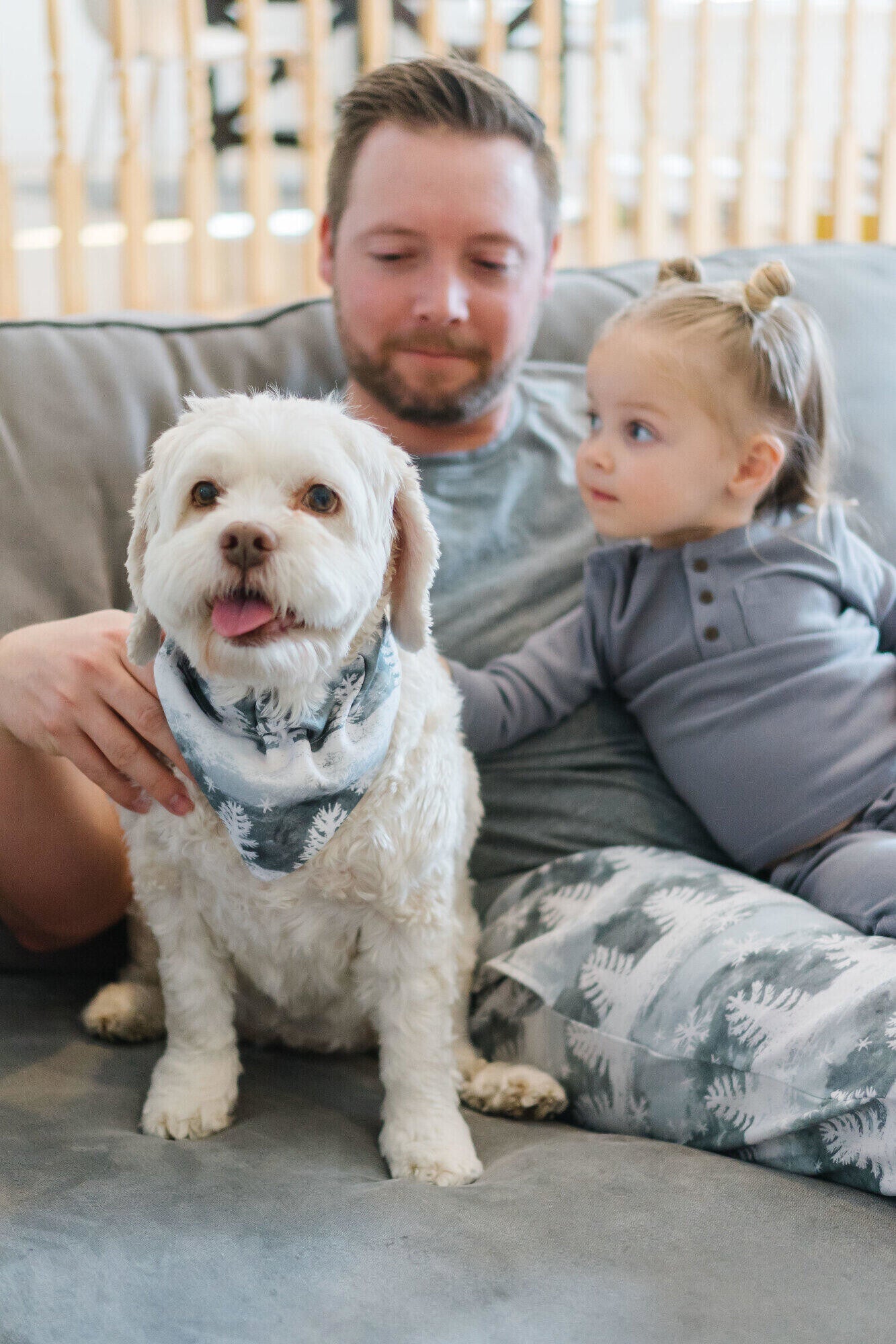 Winter Wonderland - Organic Holiday Pet Bandana