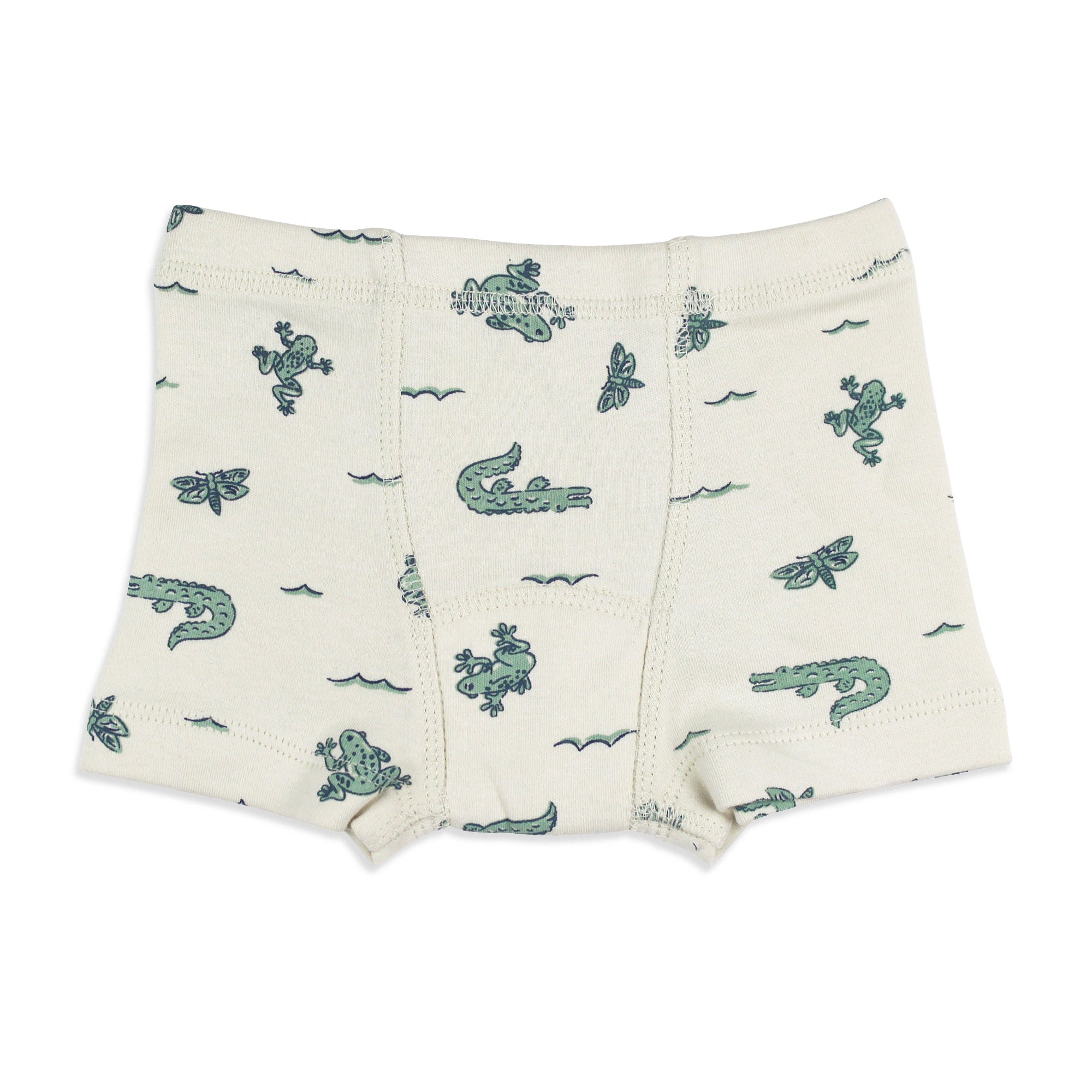 Alligator