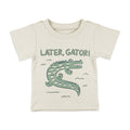 Alligator