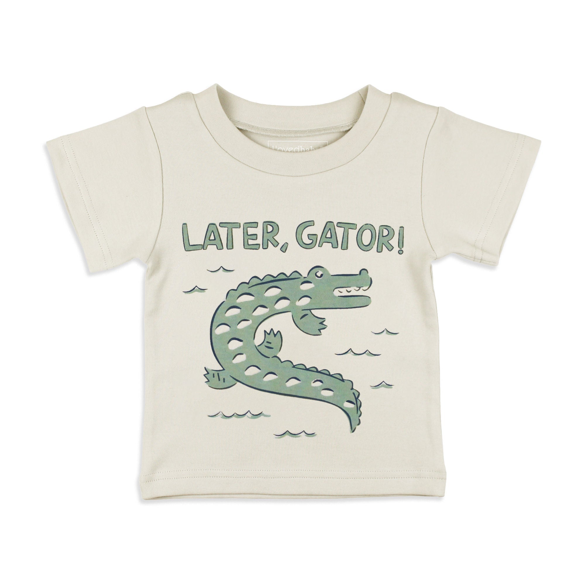 Alligator