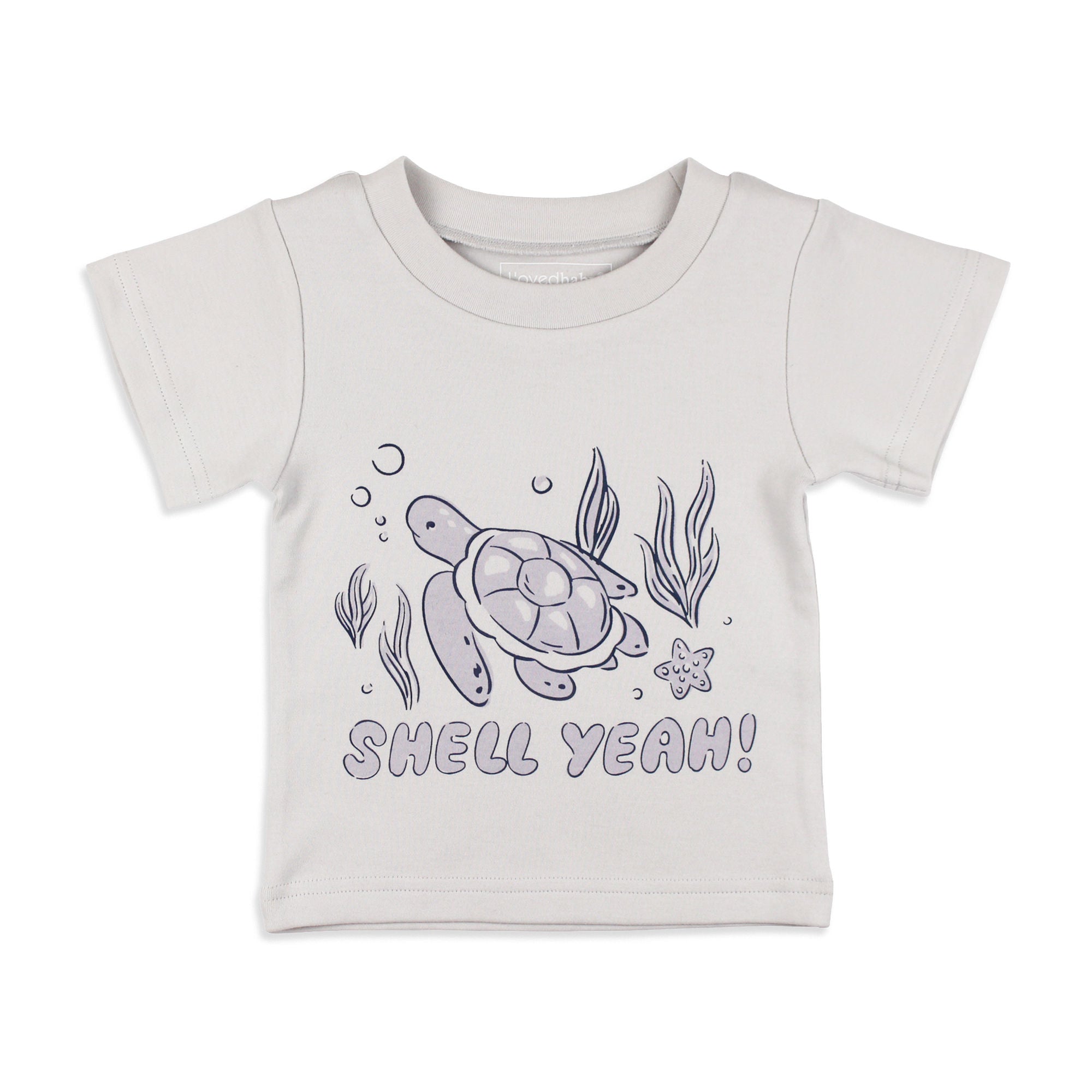 Sea Turtle