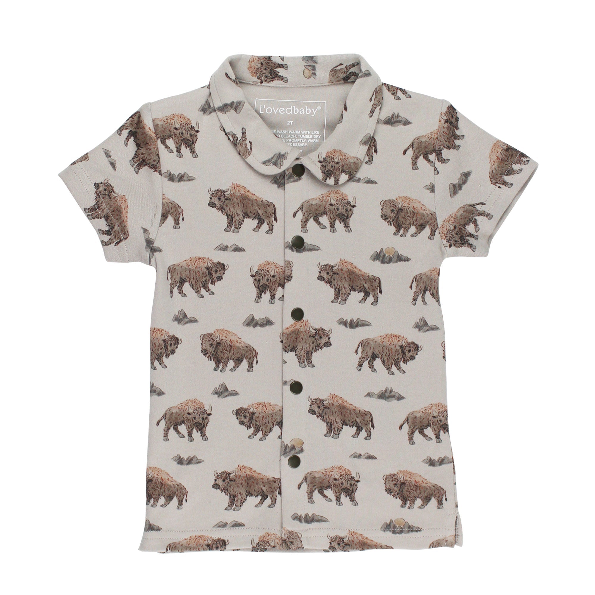 Bison