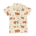 Highland Cow