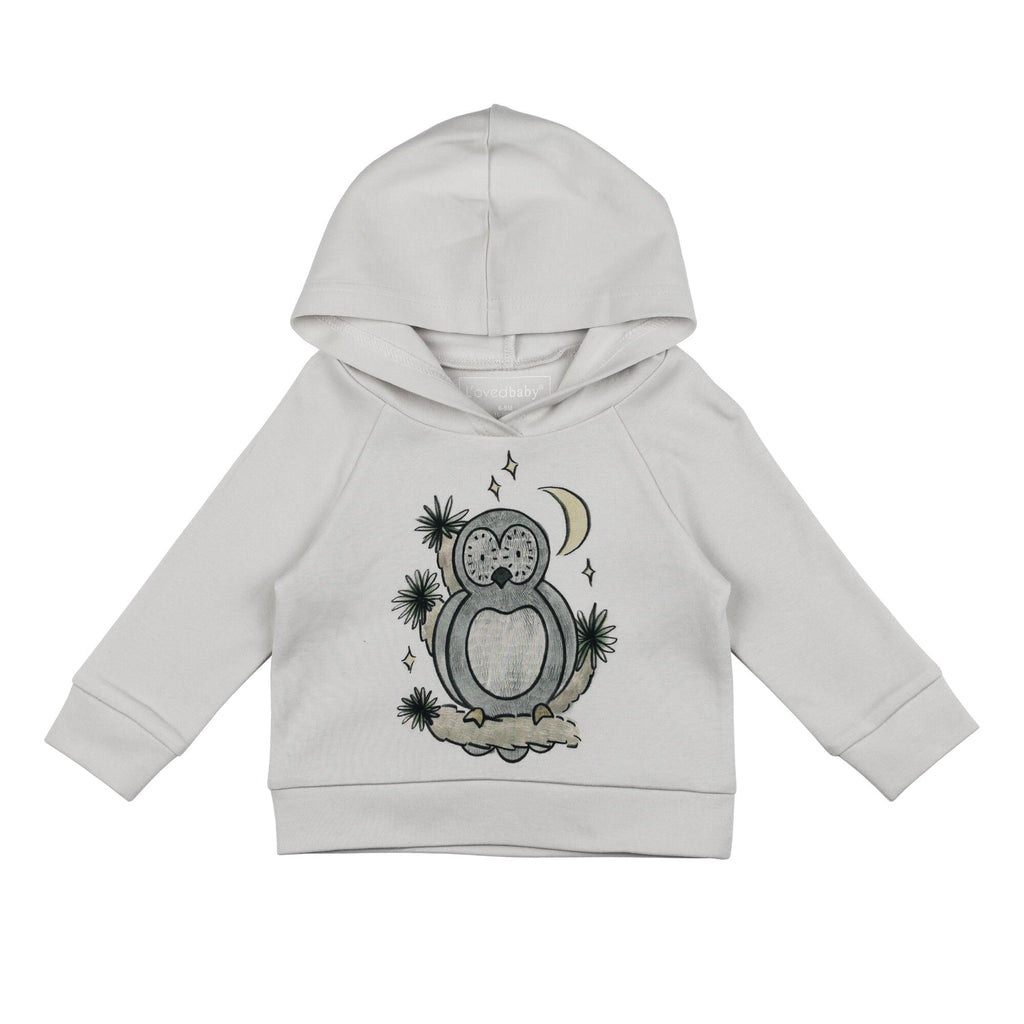 Owl Hoo? Graphic - Kids' Organic Raglan Hoodie