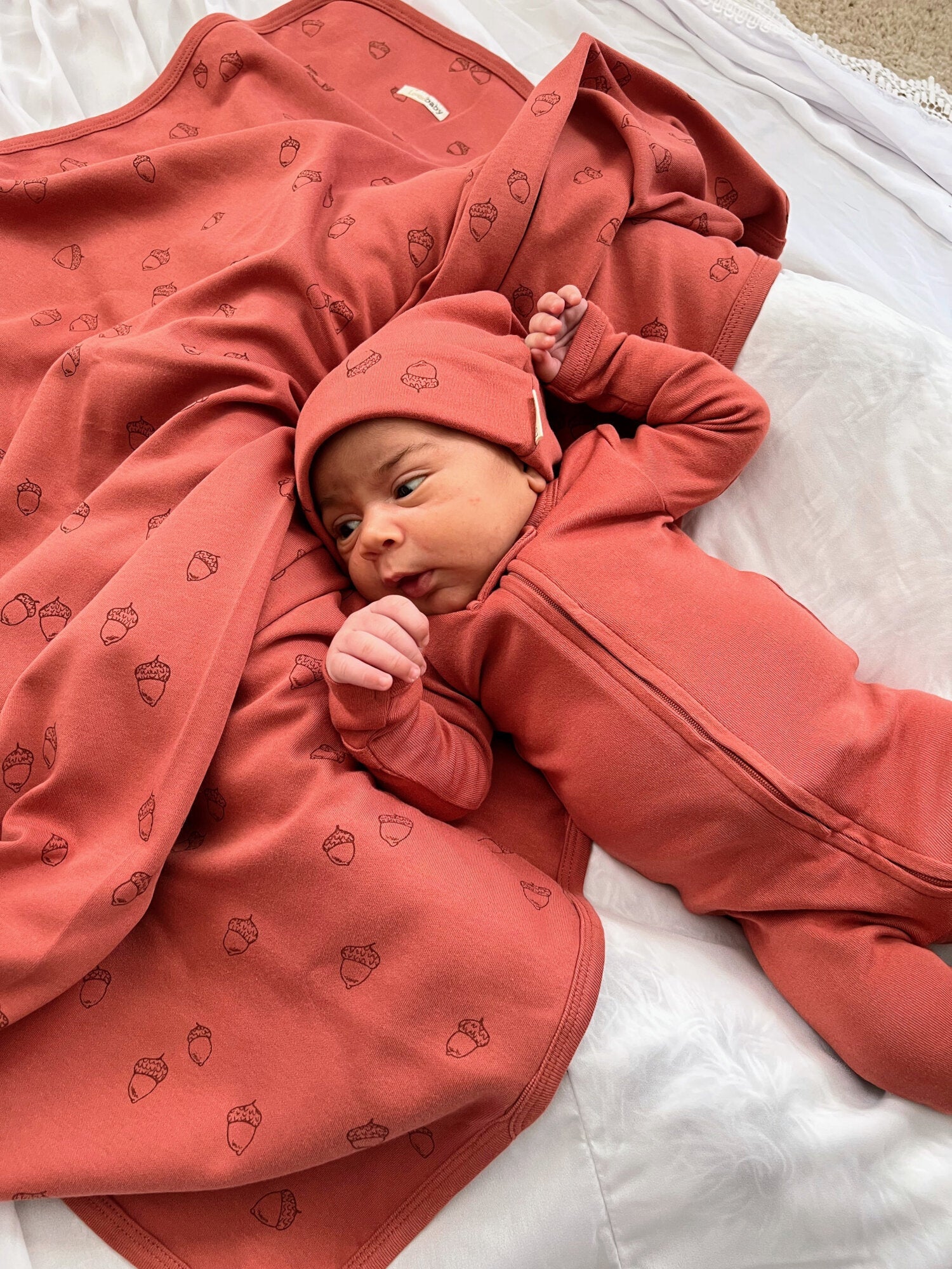 Spice Acorn - Organic Blanket