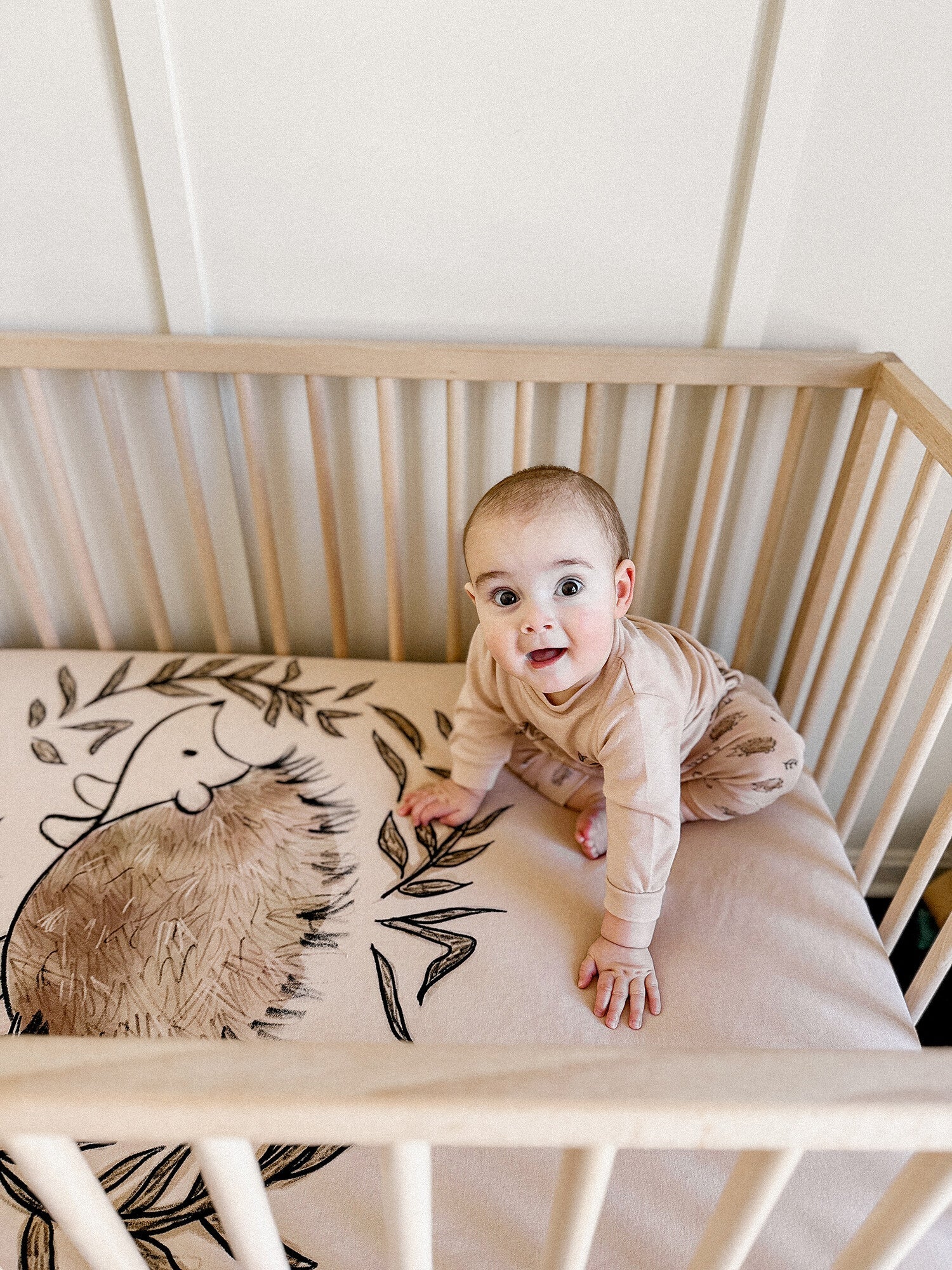 Prickles - Organic Crib Sheet 2-Pack