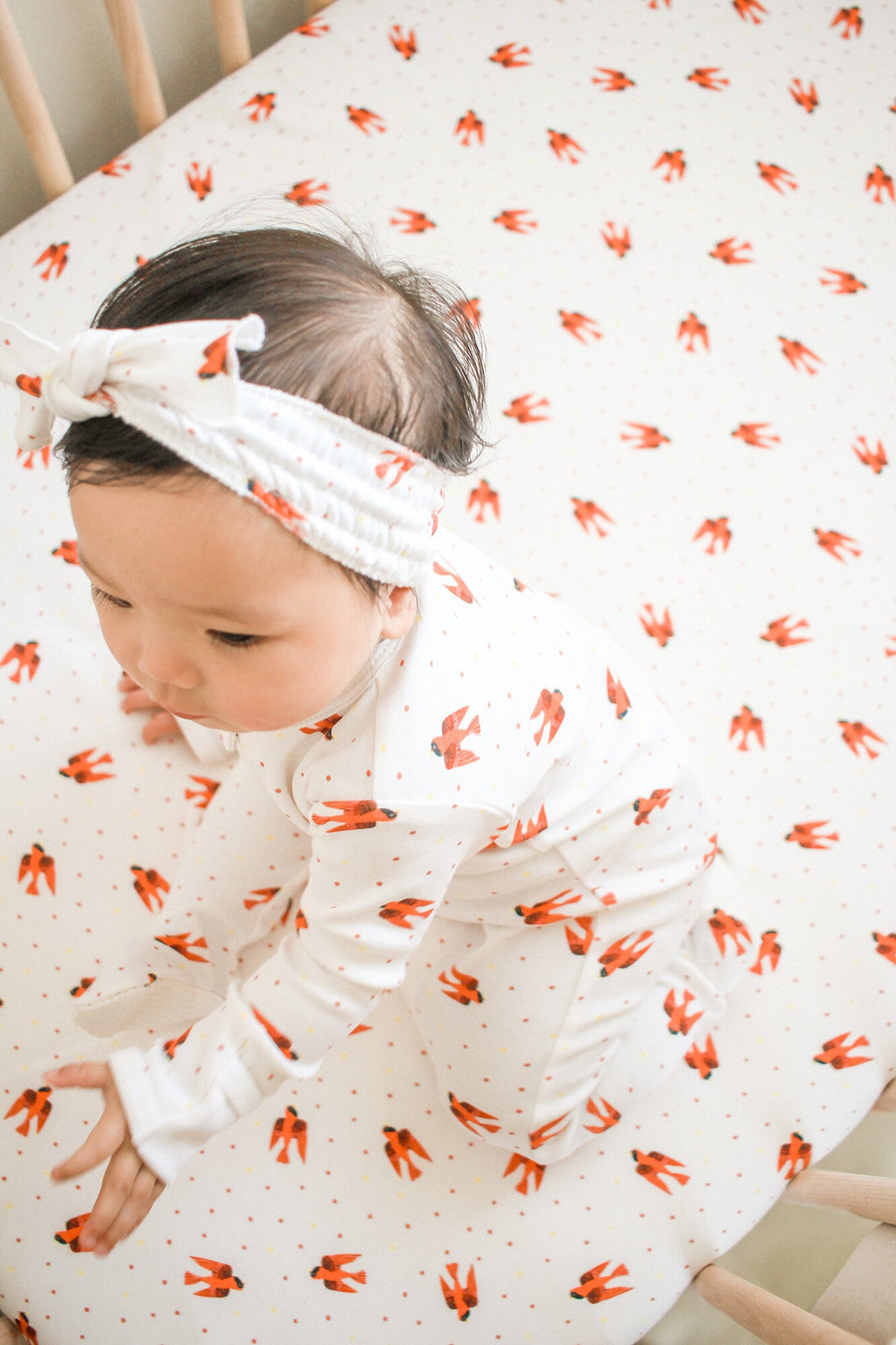 Red Bird - Organic Crib Sheets