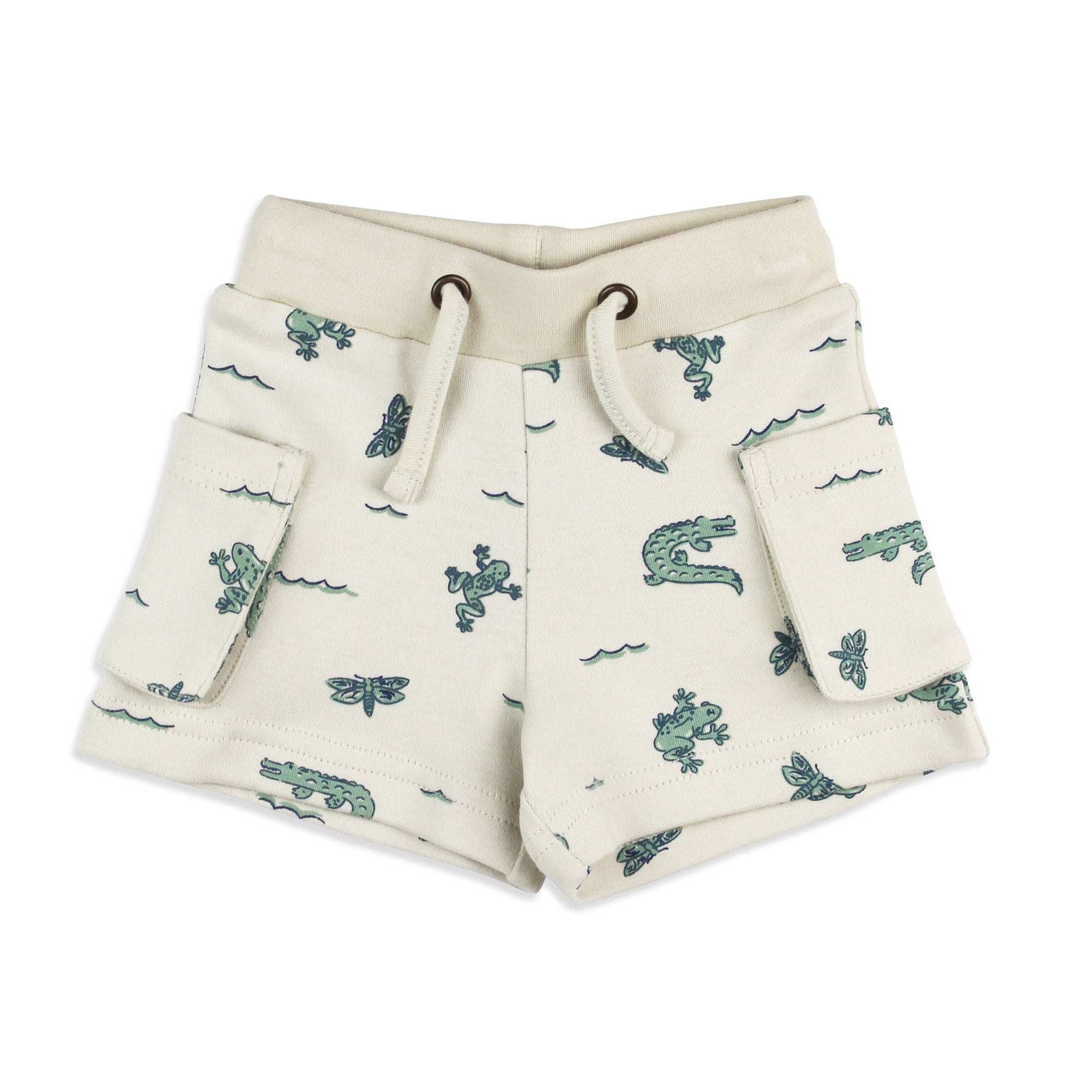 Alligator