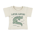 Alligator