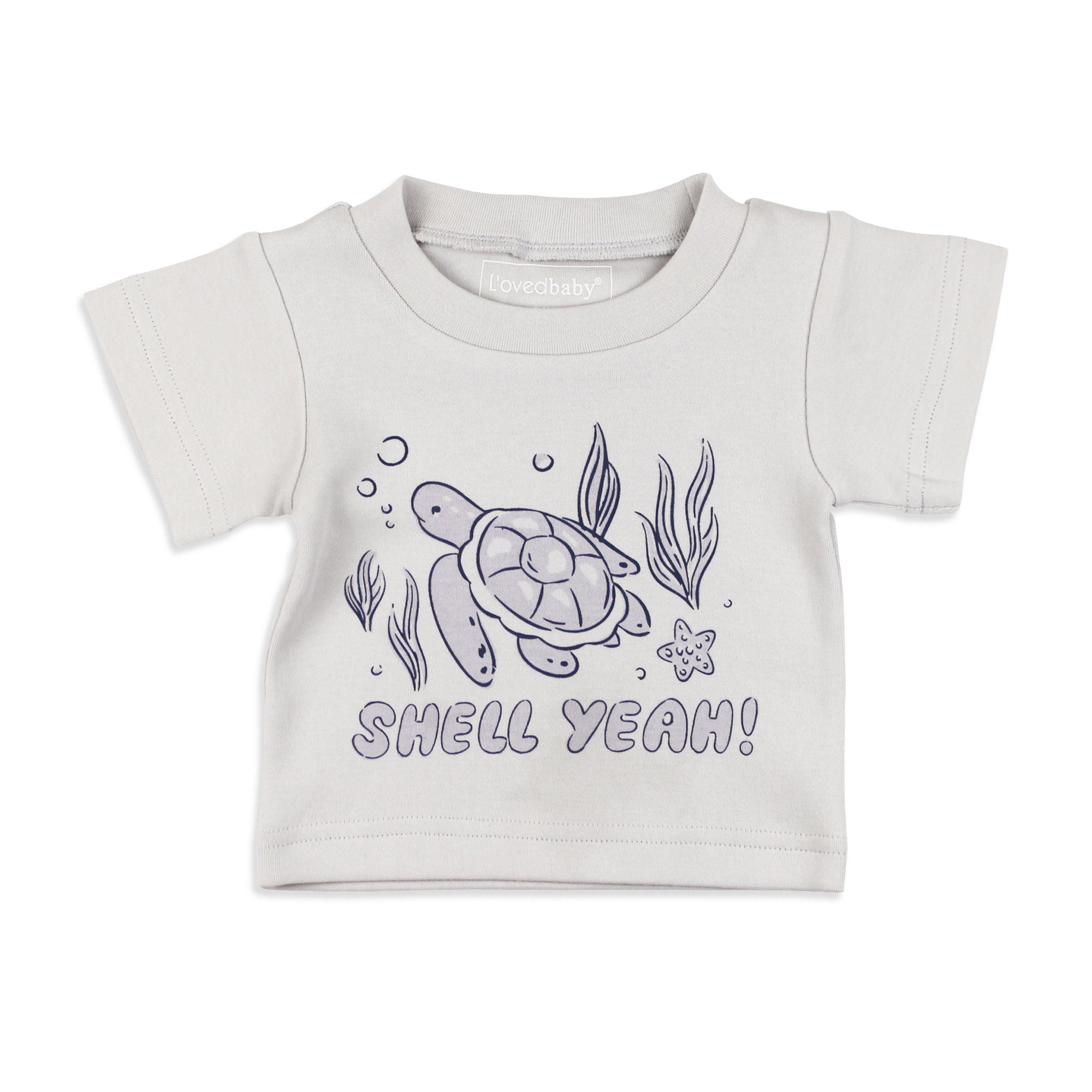 Sea Turtle