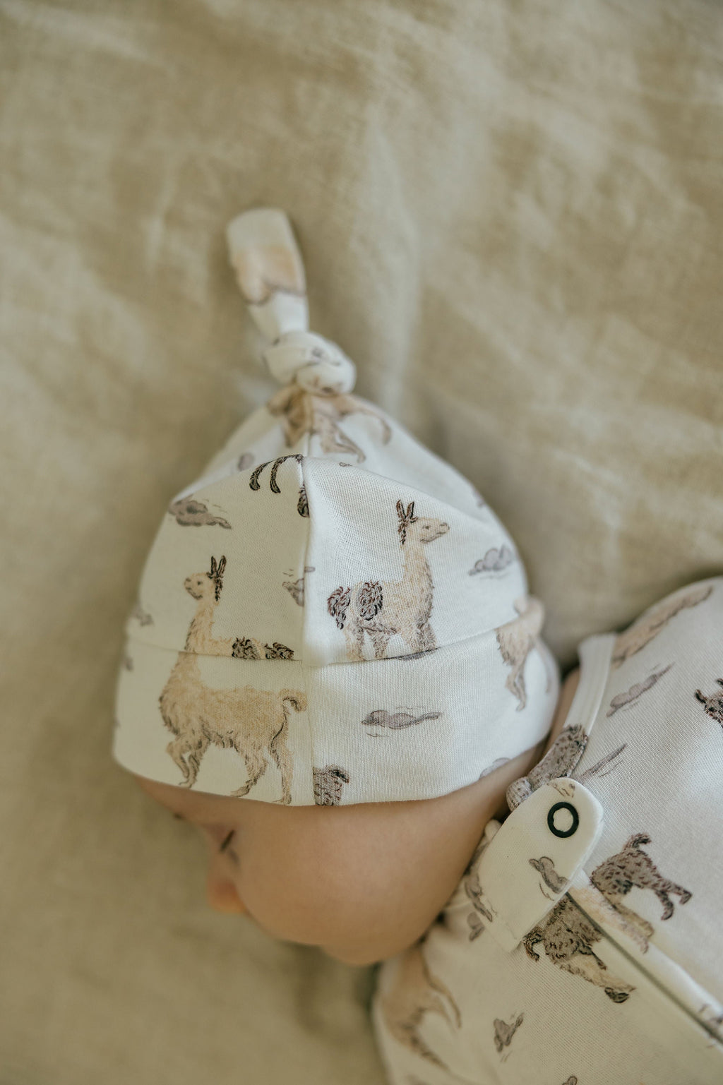Llama - Organic Knotted Hat