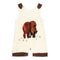 Brown Bear