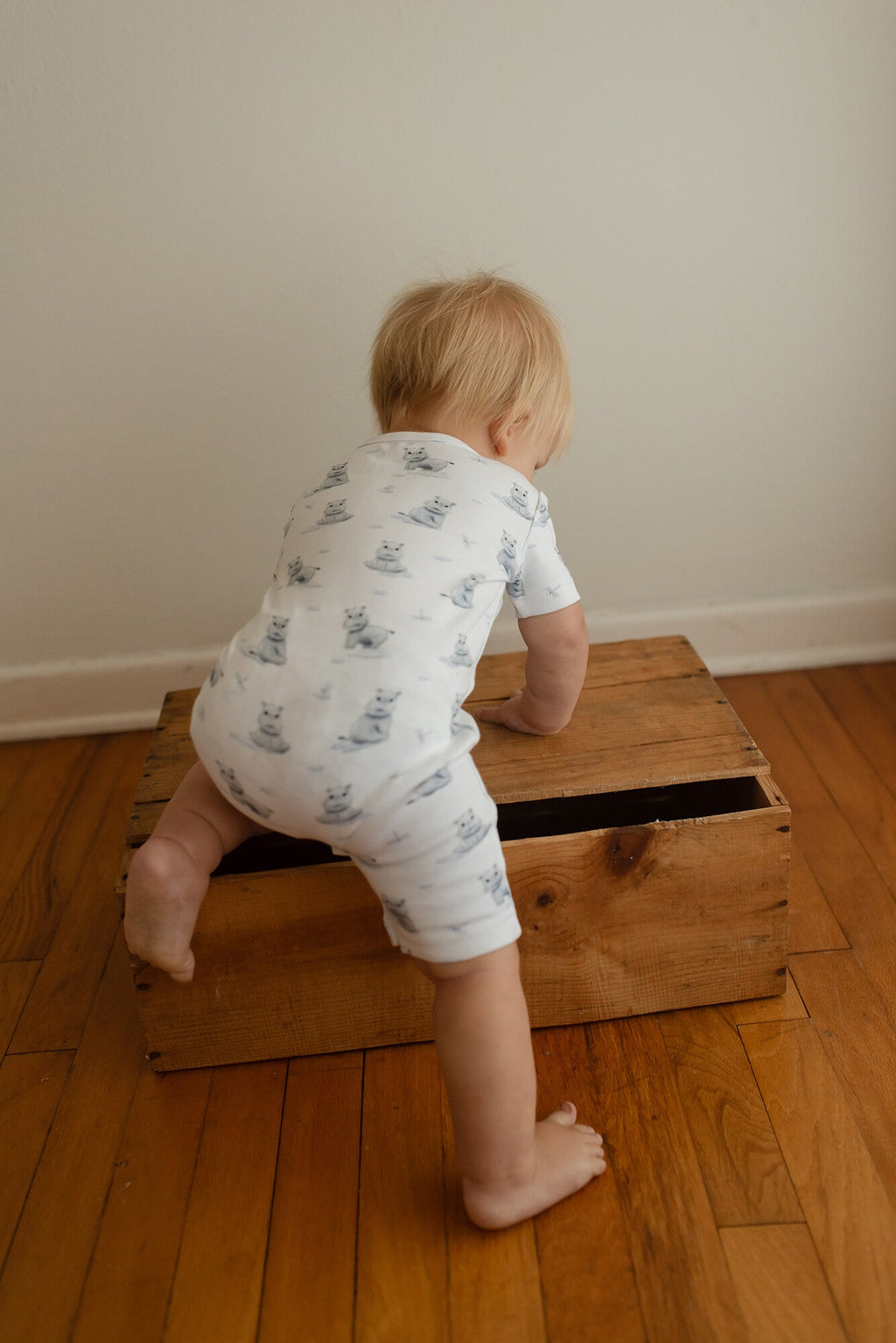 Baby Hippo - Organic S/Sleeve Romper