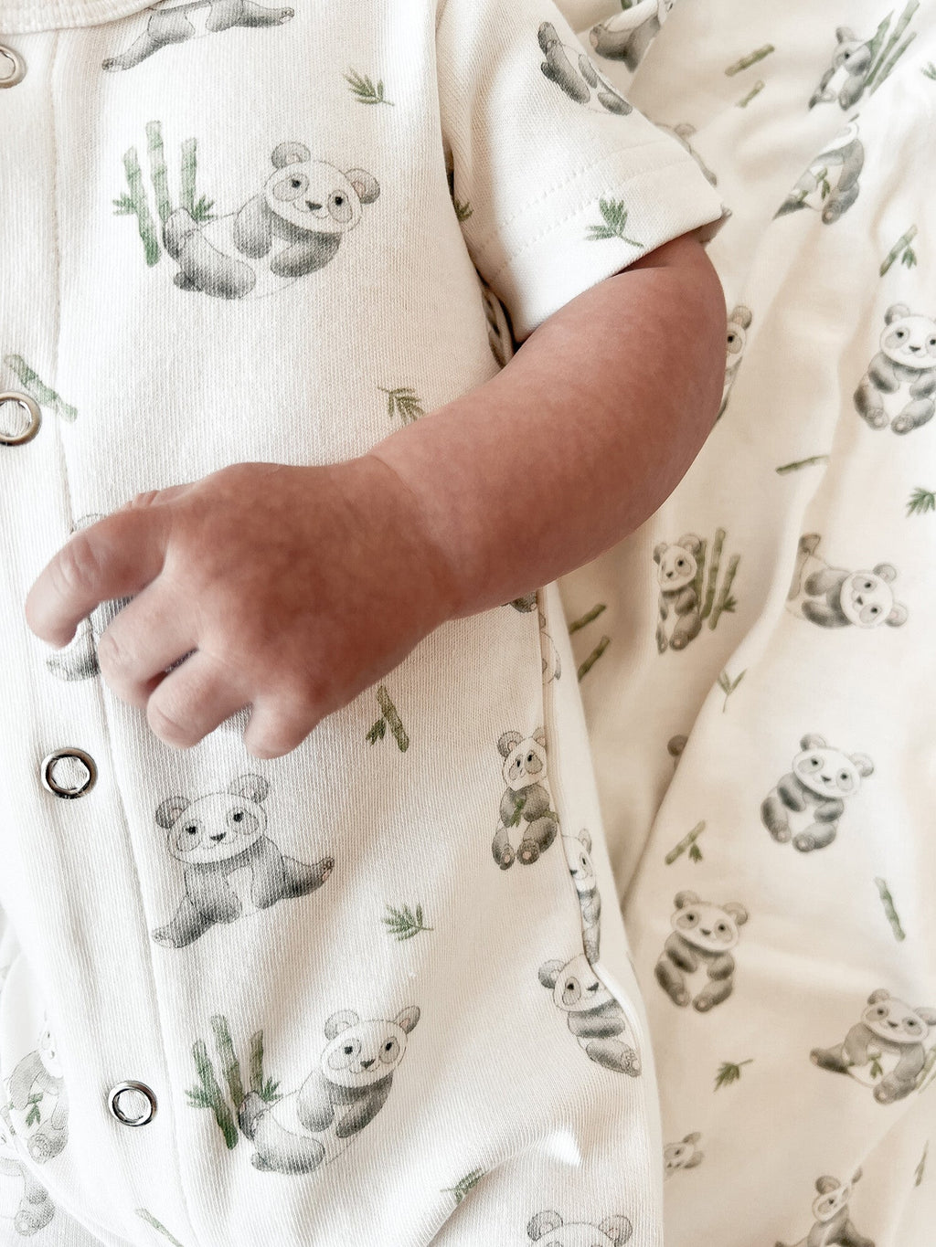 Baby Panda - Organic S/Sleeve Romper