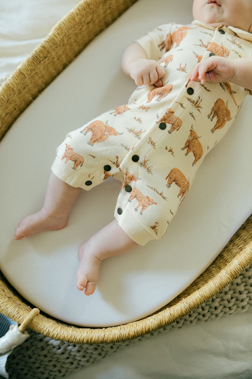 Highland Cow - Organic S/Sleeve Coverall