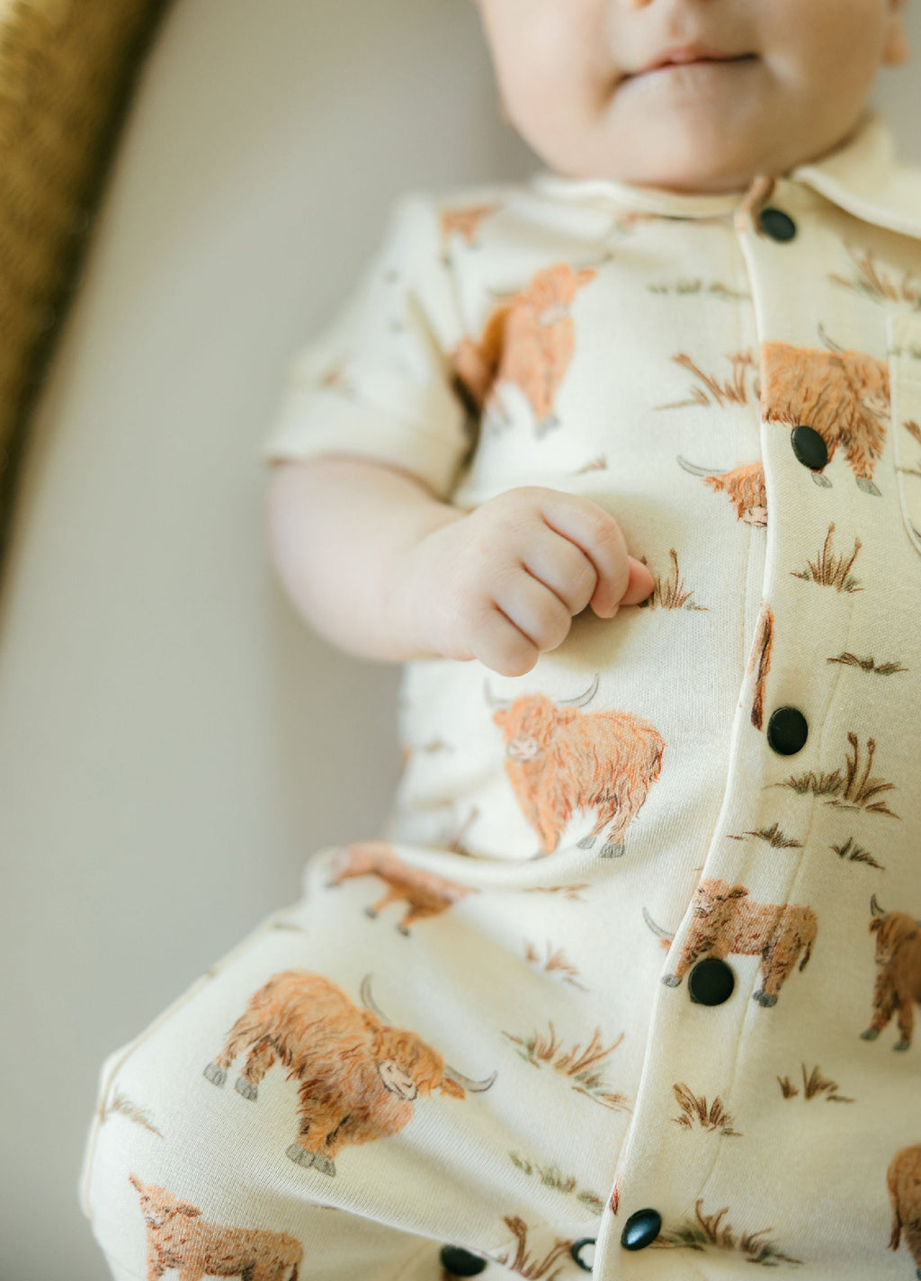 Highland Cow - Organic S/Sleeve Coverall