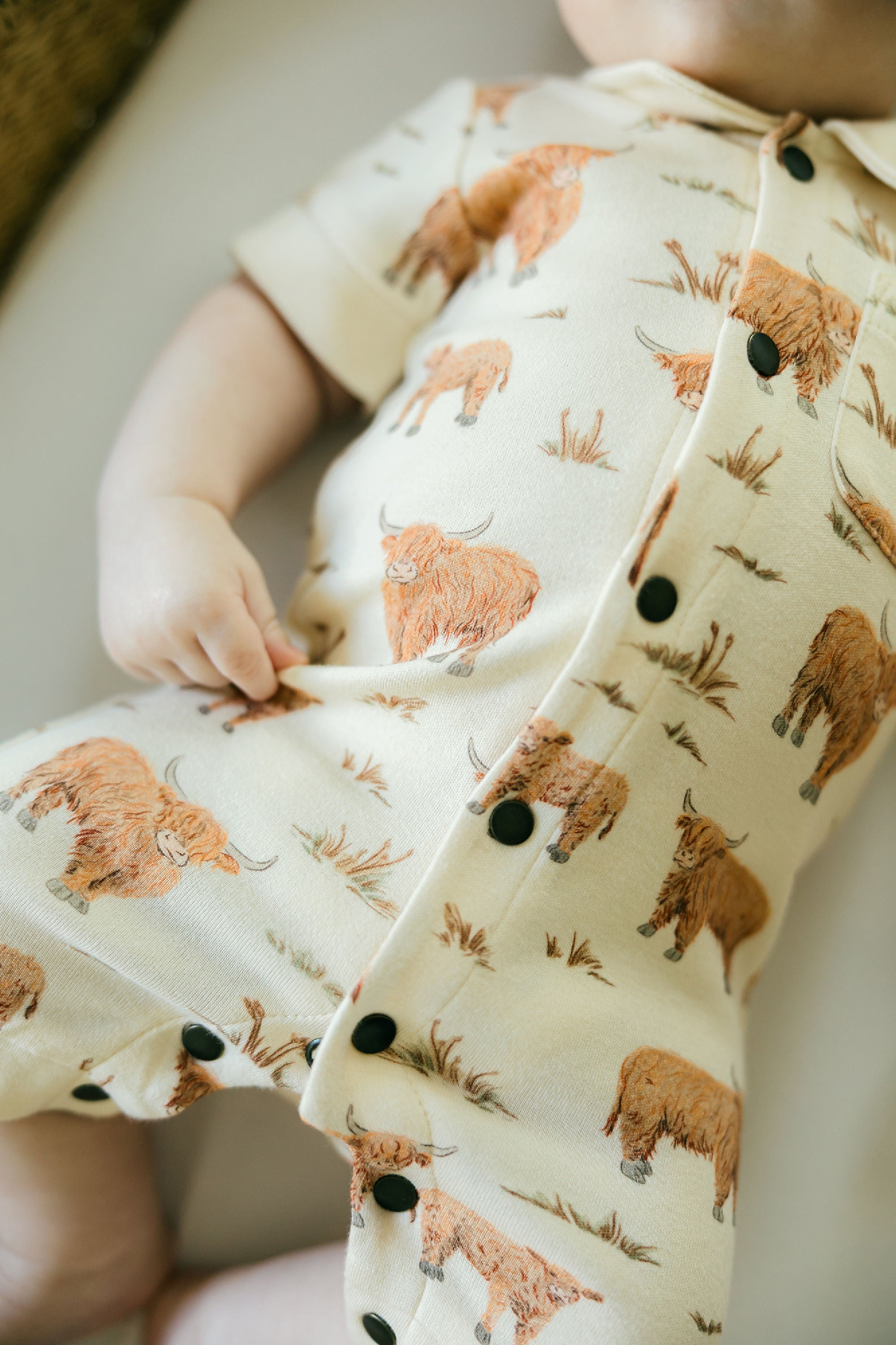 Highland Cow - Organic S/Sleeve Coverall