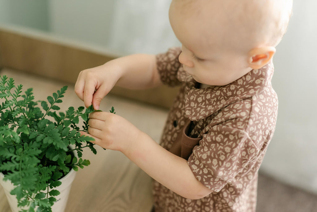 Latte Floral - Organic S/Sleeve Coverall
