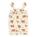 Highland Cow