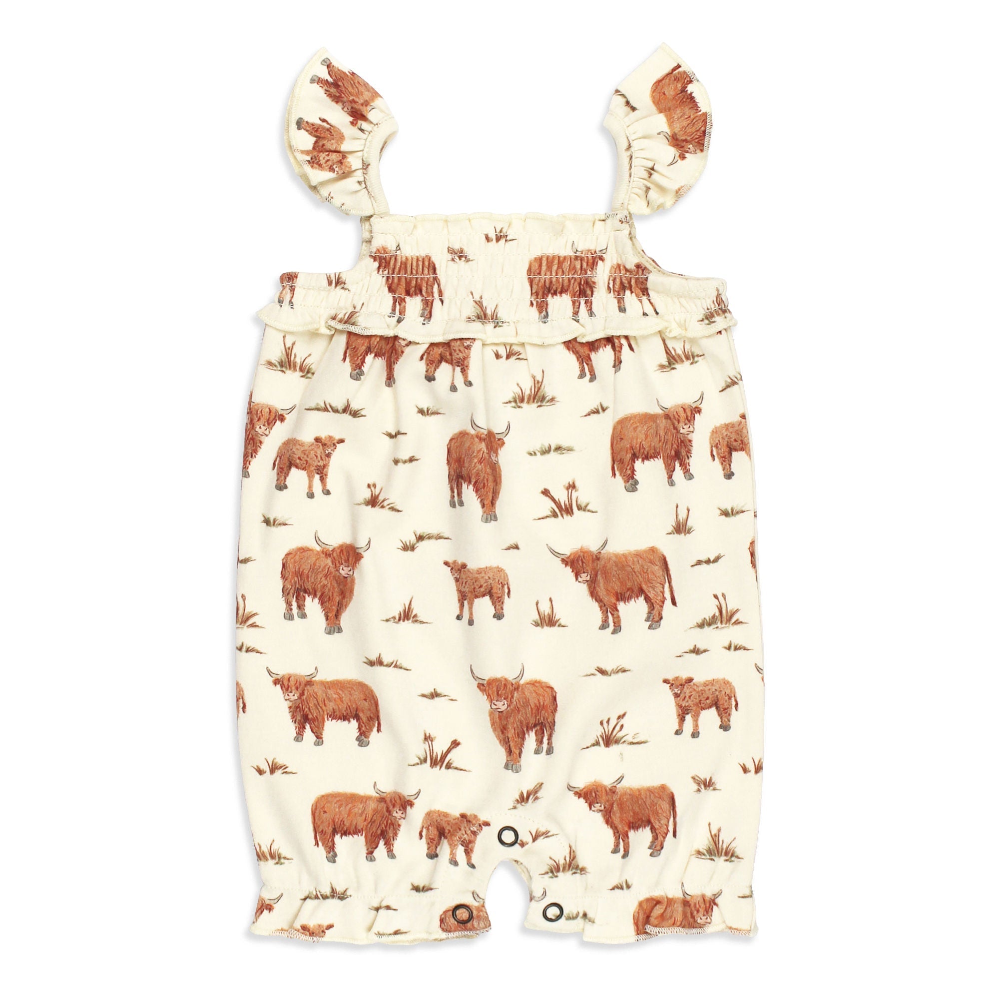 Highland Cow