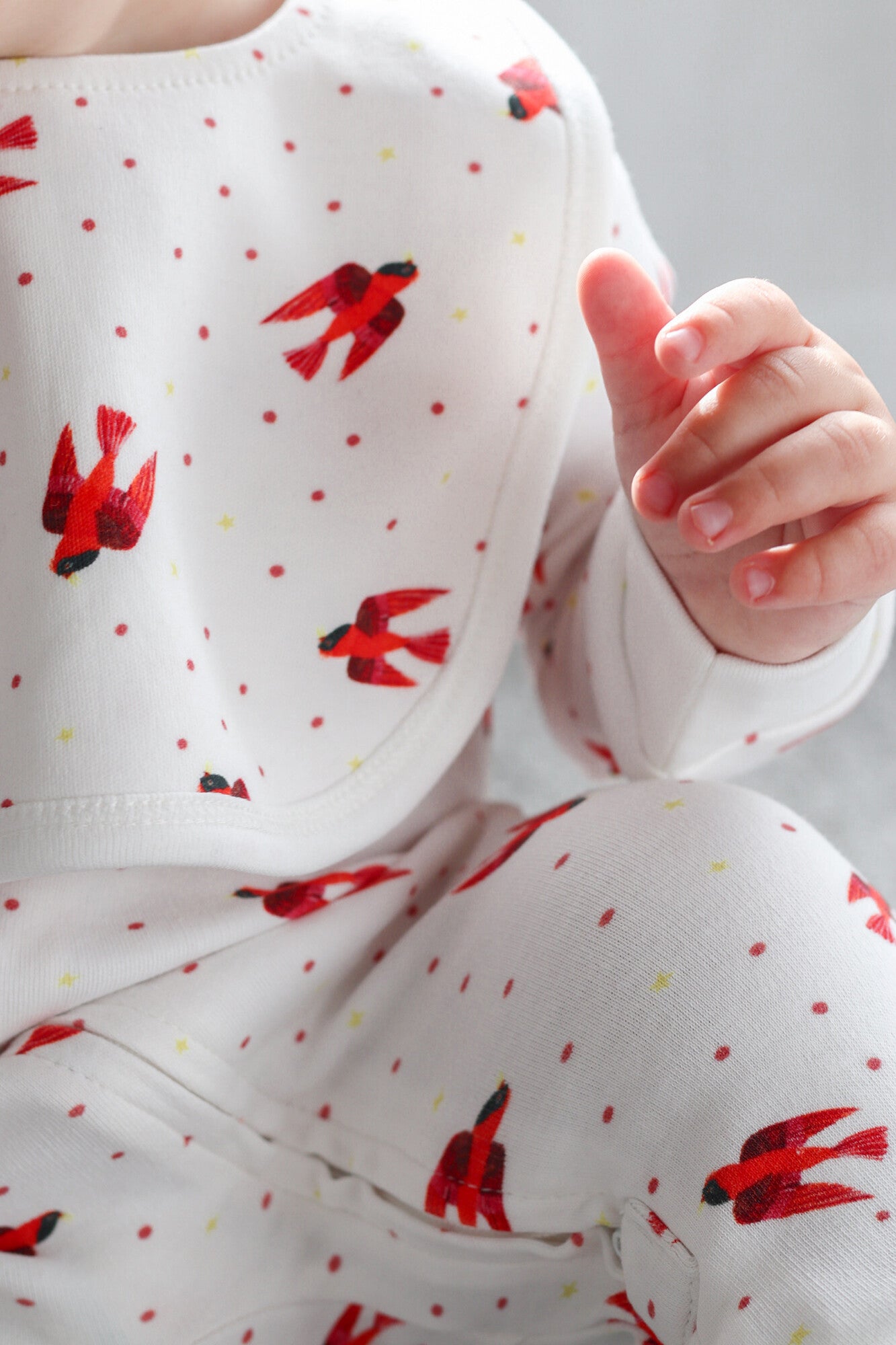 Red Bird - Organic 2-Layer Reversible Bib