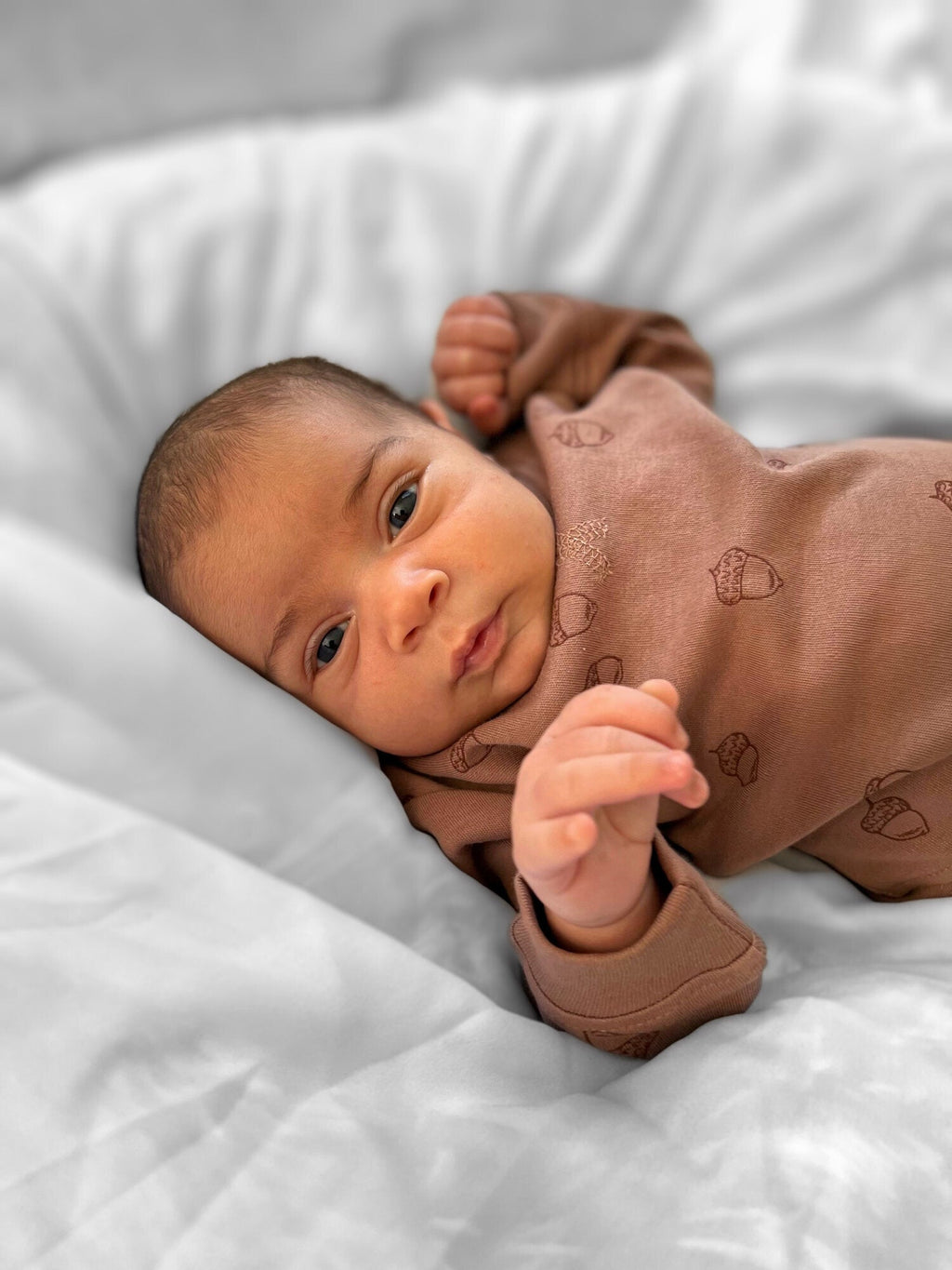 Latte Acorn - Organic Sweatshirt & Jogger Set