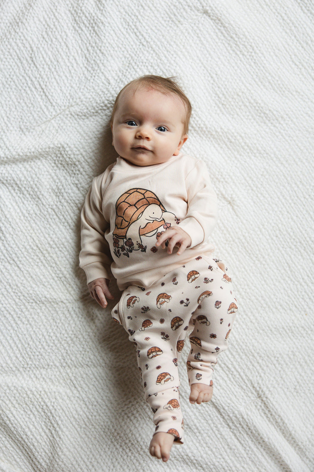 Tiny Tortoise - Organic Sweatshirt & Jogger Set