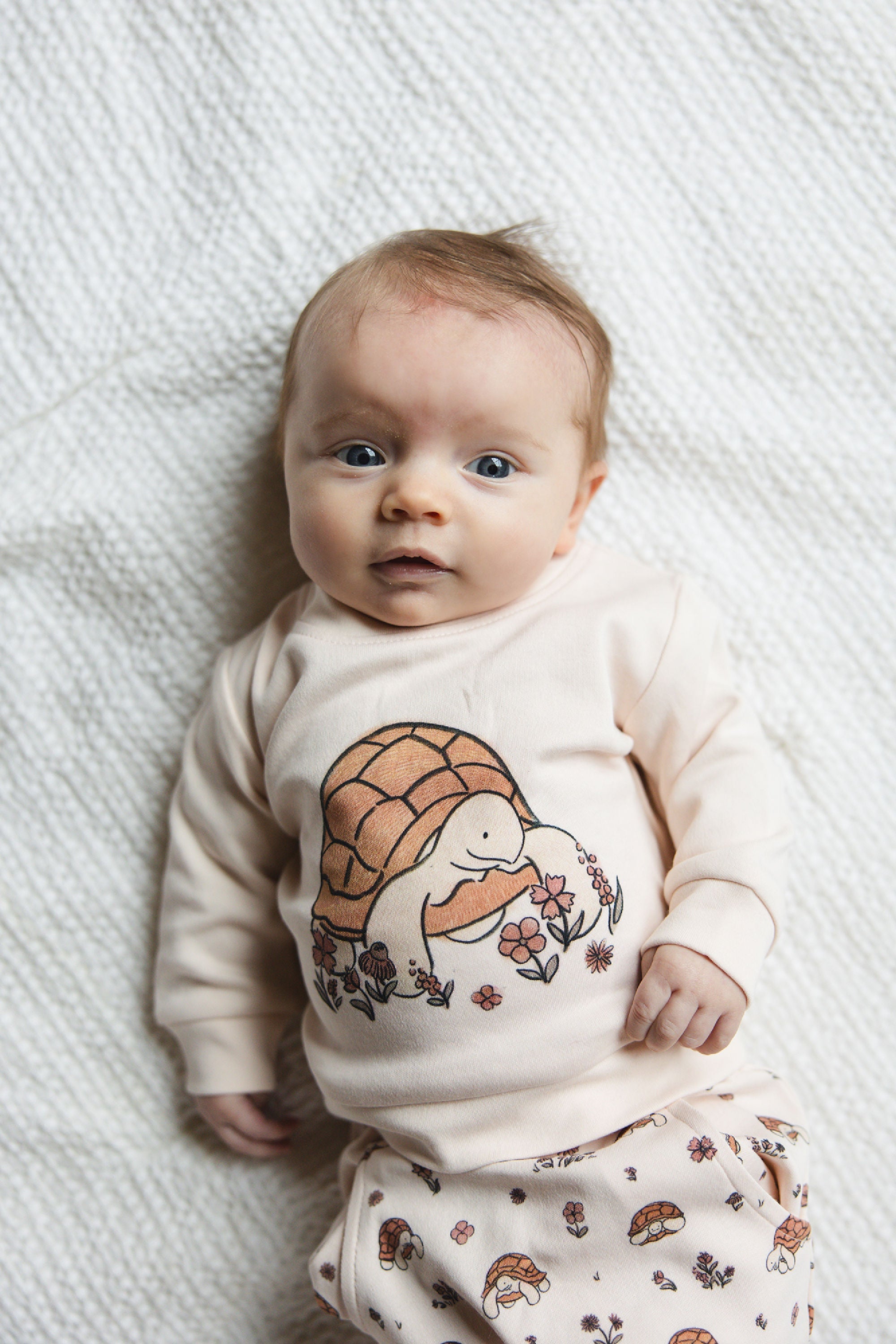 Tiny Tortoise - Organic Sweatshirt & Jogger Set
