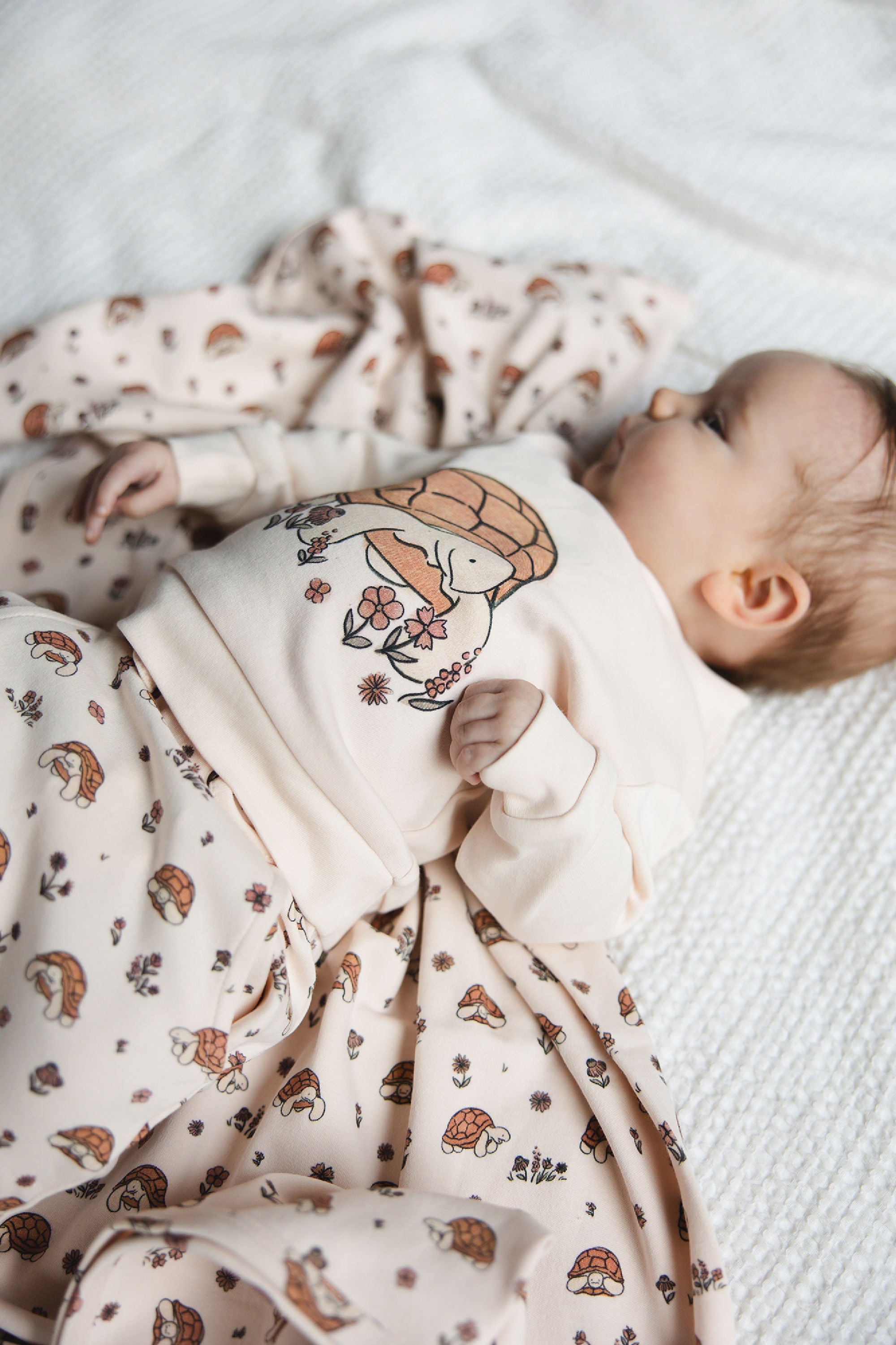 Tiny Tortoise - Organic Sweatshirt & Jogger Set