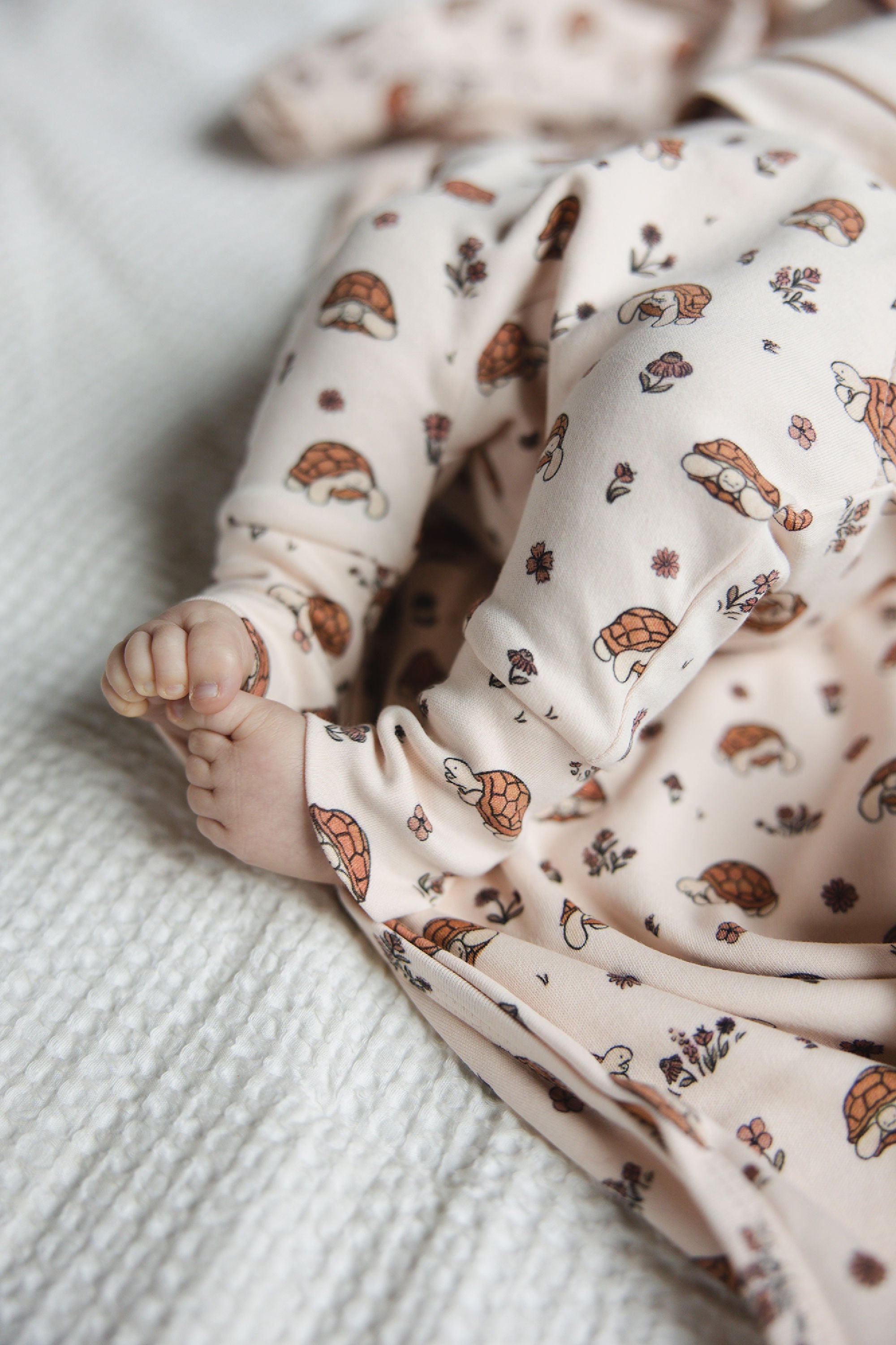 Tiny Tortoise - Organic Sweatshirt & Jogger Set