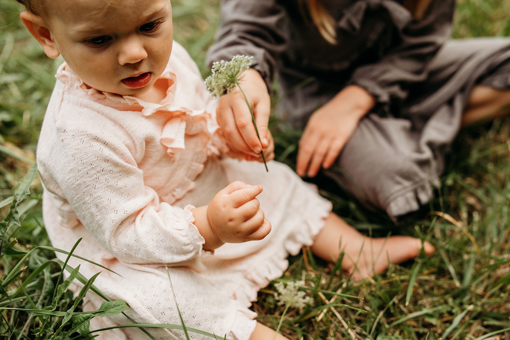 Cotton Candy - Organic Pointelle Ruffle Sweater