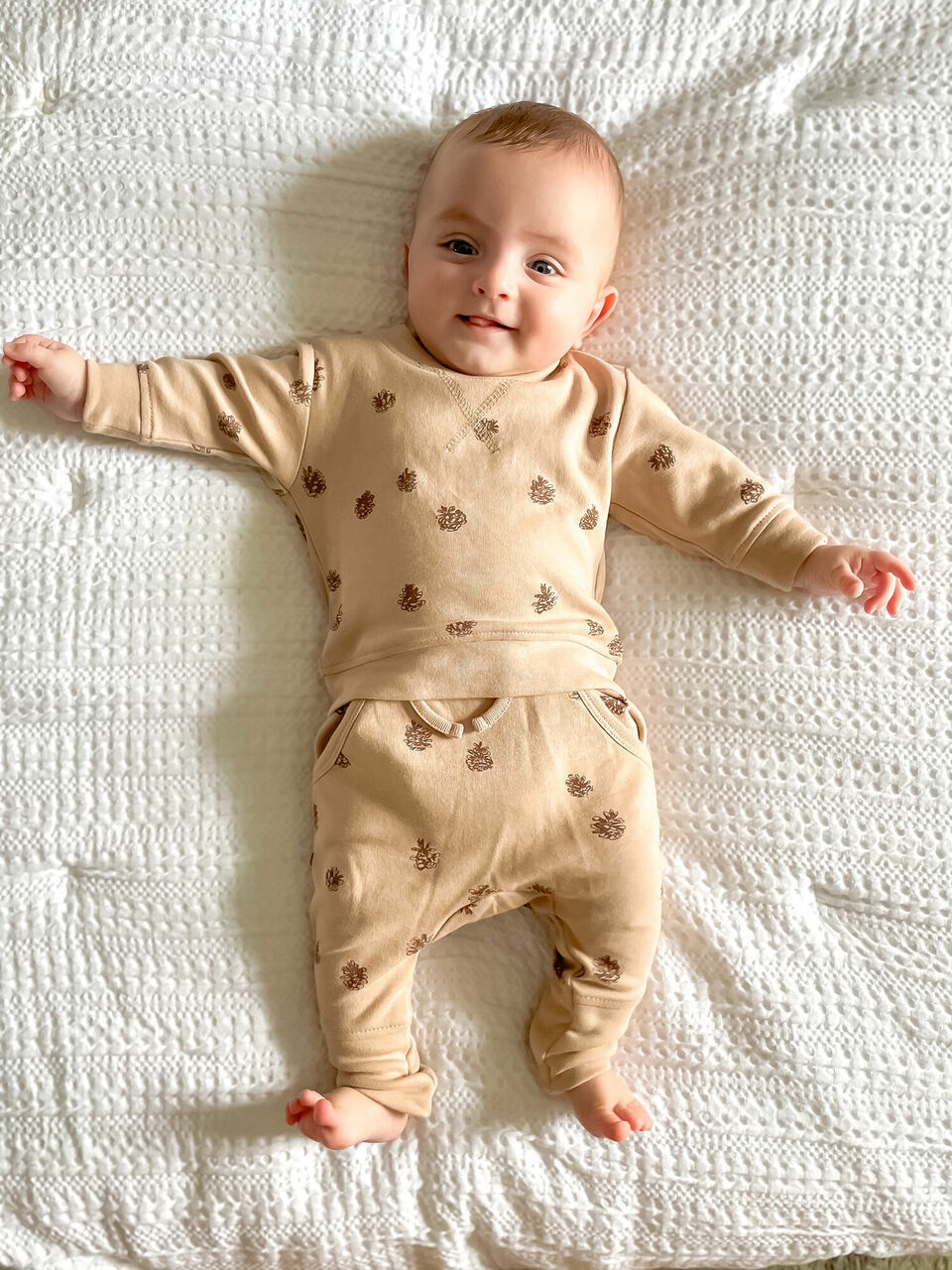 Oatmeal Pinecone - Organic Sweatshirt & Jogger Set