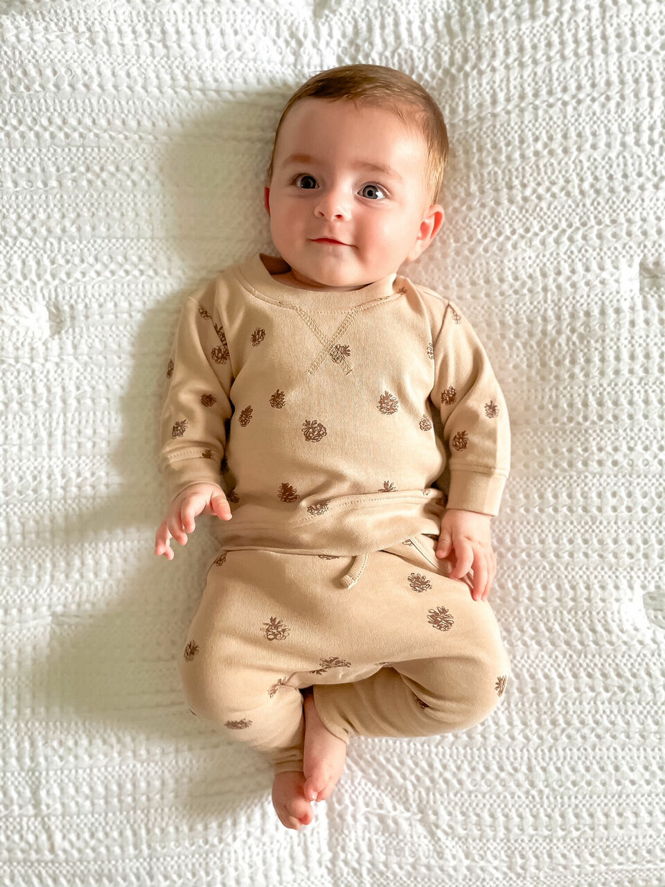Oatmeal Pinecone - Organic Sweatshirt & Jogger Set