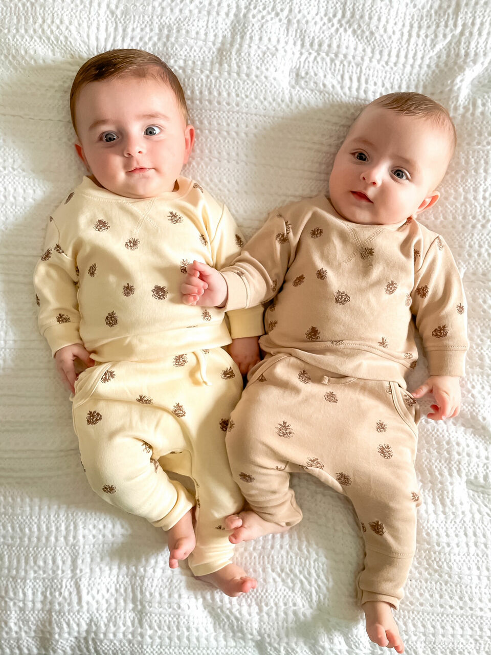 Buttercream Pinecone - Organic Sweatshirt & Jogger Set