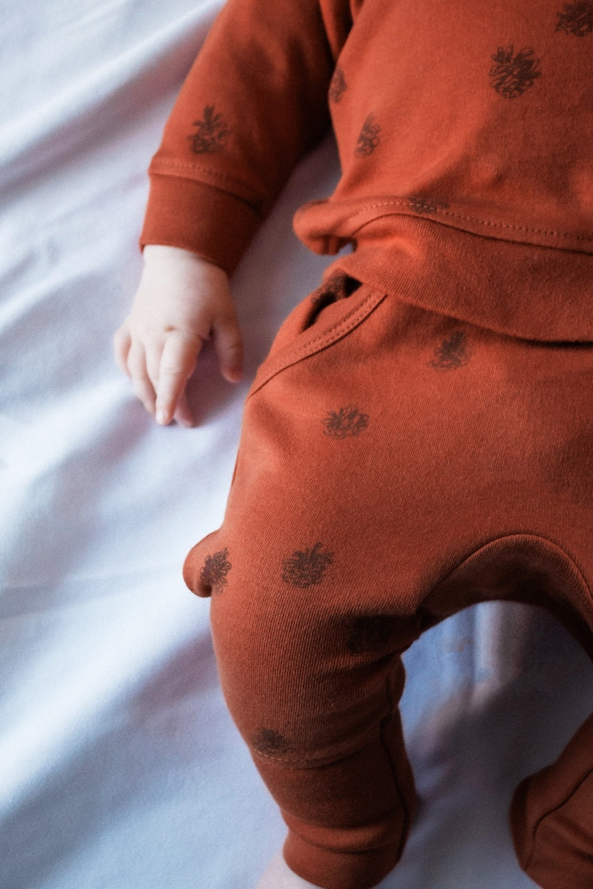 Cinnamon Pinecone - Organic Sweatshirt & Jogger Set