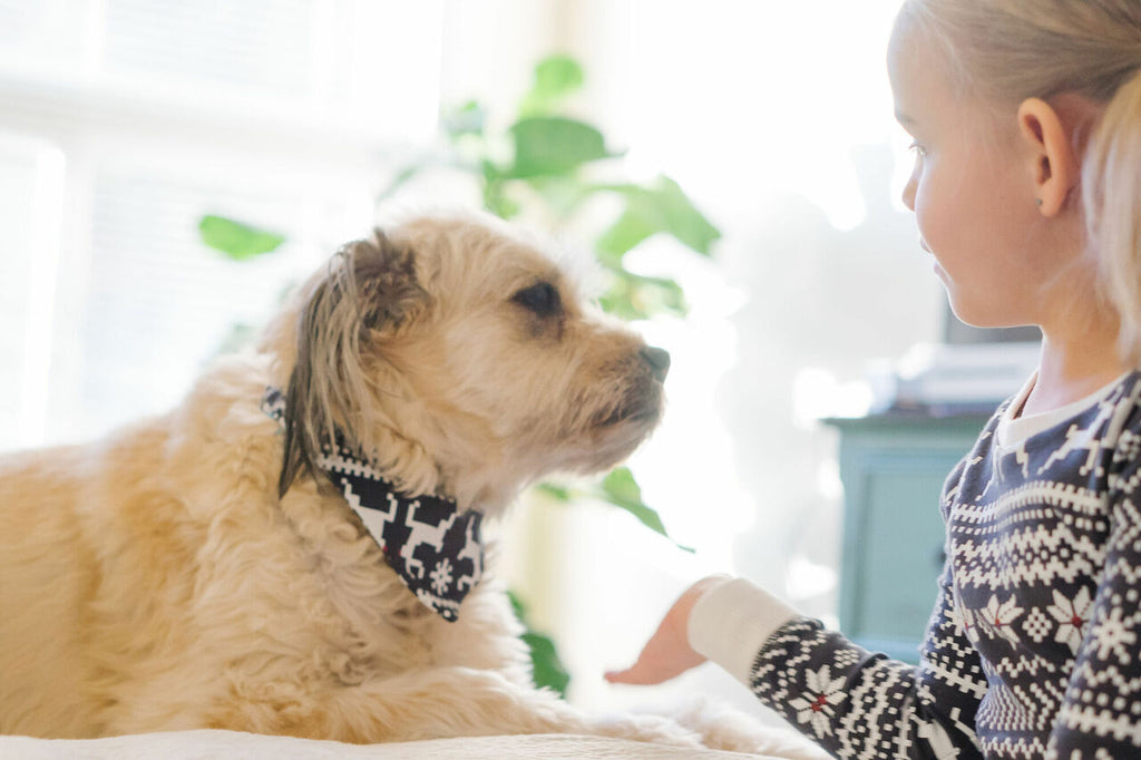 Rudolph - Organic Holiday Pet Bandana
