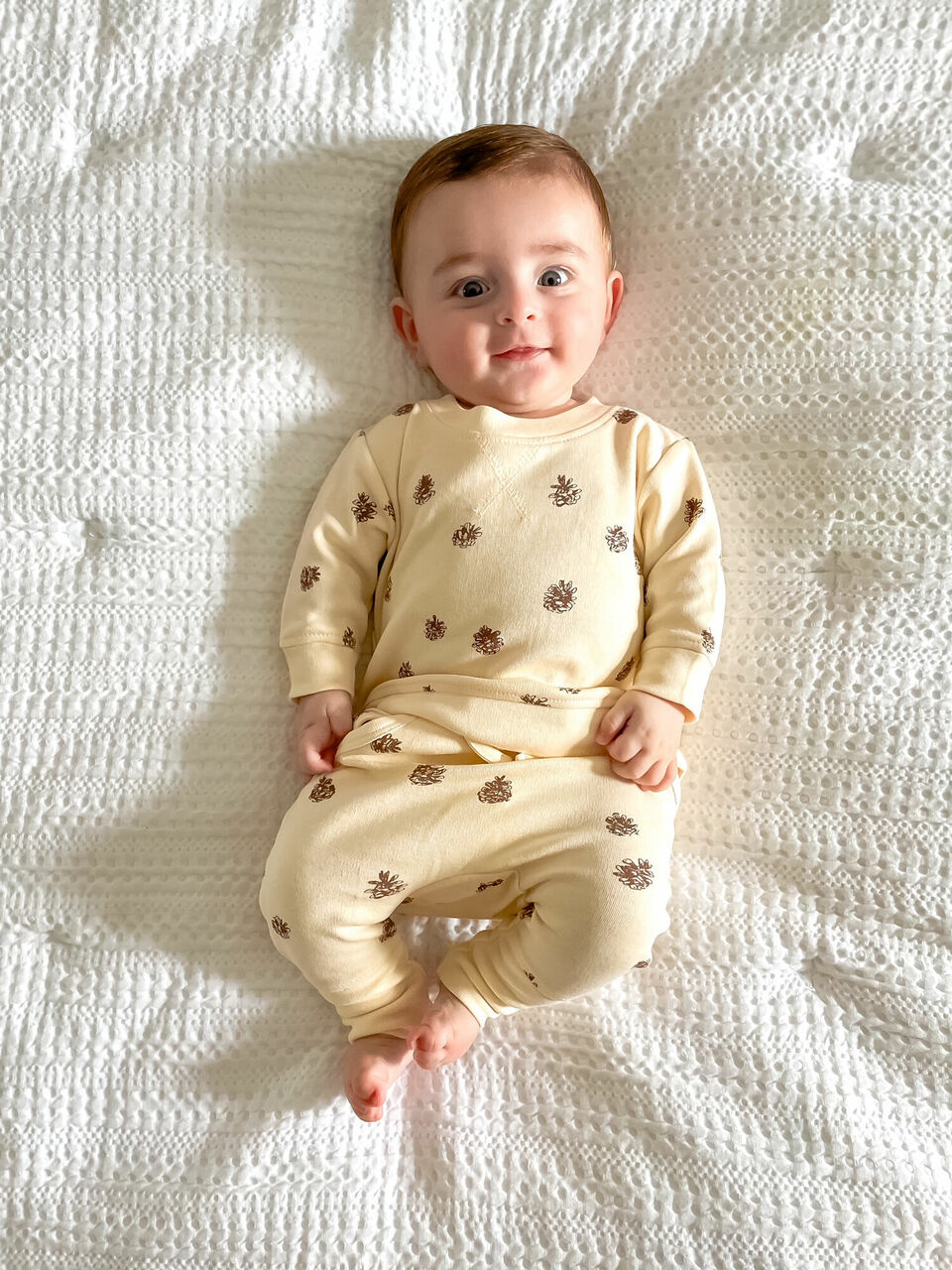 Buttercream Pinecone - Organic Sweatshirt & Jogger Set