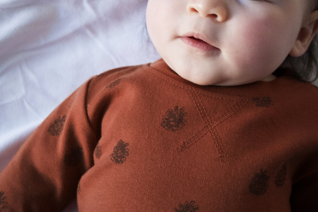 Cinnamon Pinecone - Organic Sweatshirt & Jogger Set