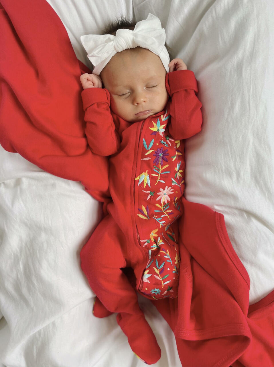 Chili Pepper - Organic Blanket